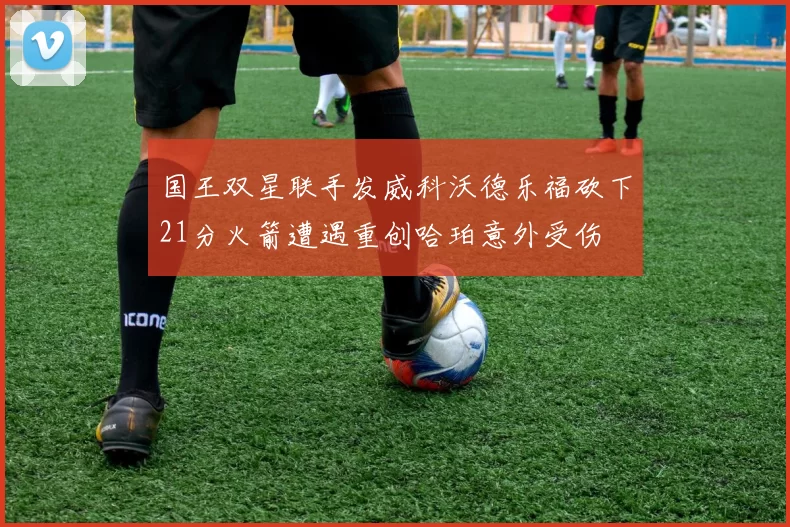 国王双星联手发威科沃德乐福砍下21分火箭遭遇重创哈珀意外受伤